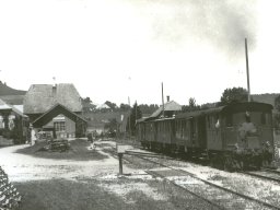 Haeusernmoos.1