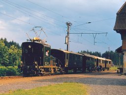 Haeusernmoos.2