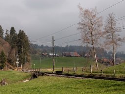 20190414_IMG_3813