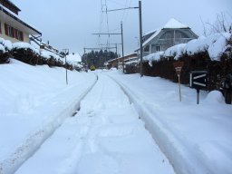 IMG_0102