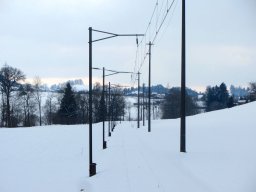 IMG_0117