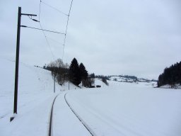 IMG_0209