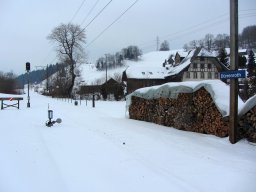 IMG_0247