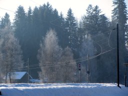 IMG_0326