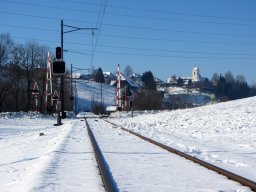 IMG_0332