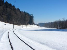 IMG_0346