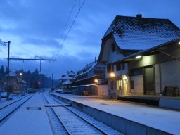 IMG_5902